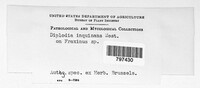 Image Associated With the Occurence
